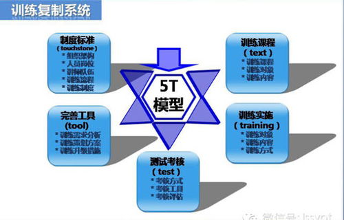 戰略·模式·標準化·復制與督導 讀懂真正的連鎖運營管理及招商